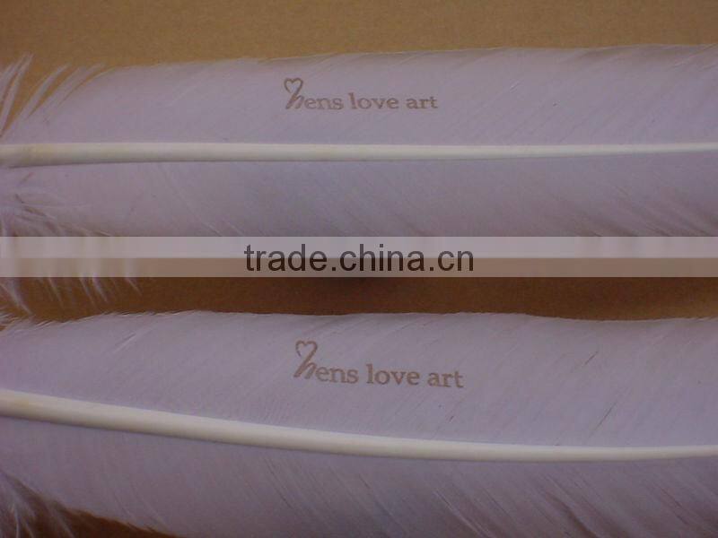 feather pens/quill pen/history pen