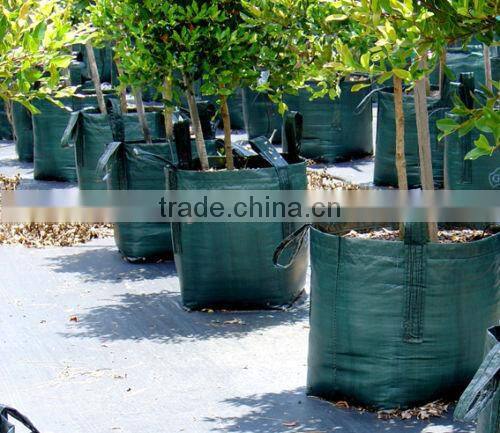 PP/PE Woven Tree Plant Bag With 2 Handles