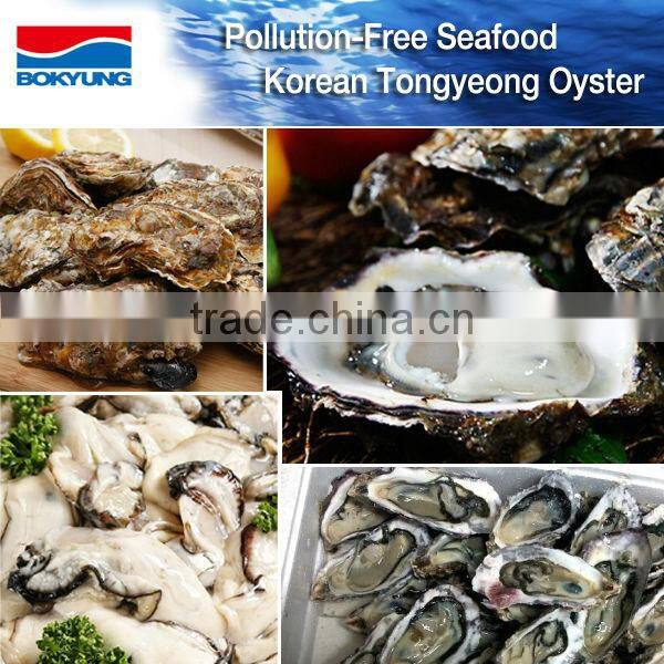 Sanintary Production Korea Tongyeong Pacific Oyster (I.Q.F / Frozen Oyster)