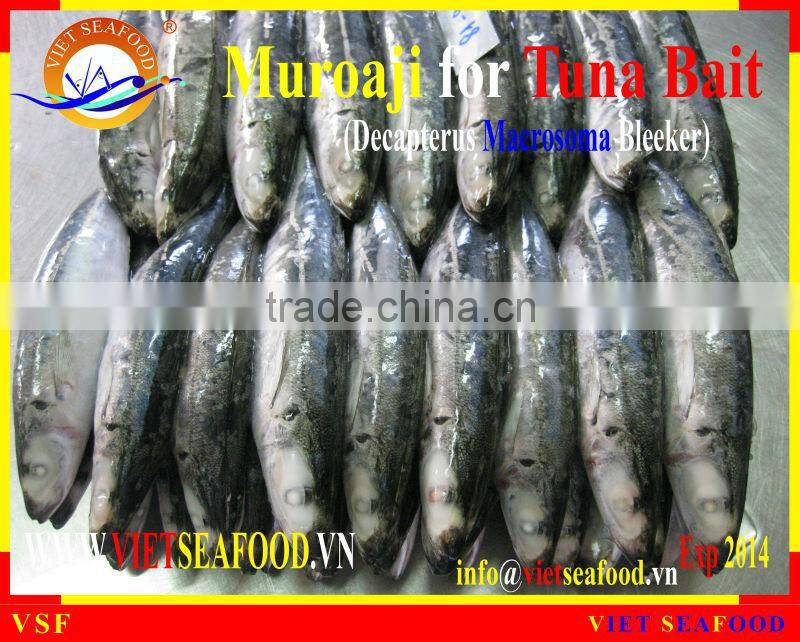 MUROAJI FOR TUNA BAIT