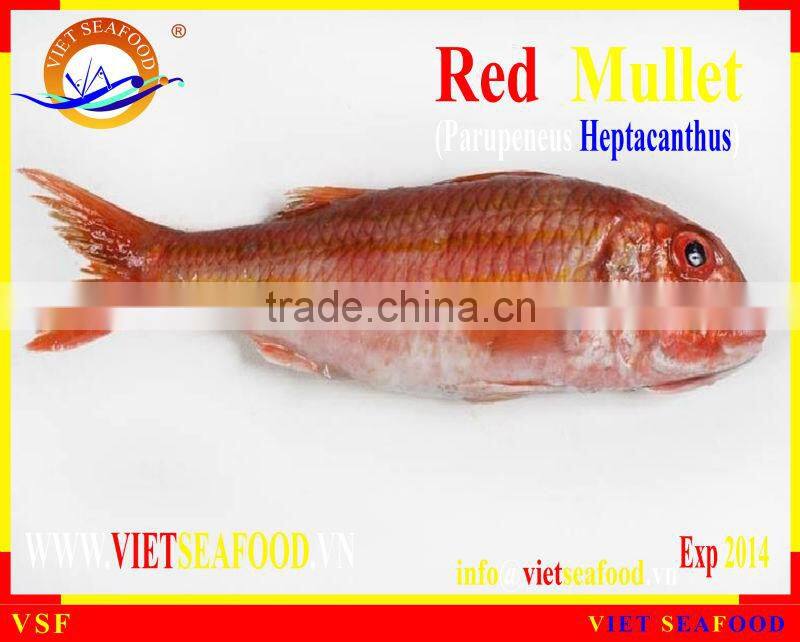 FROZEN WHOLE ROUND RED MULLET