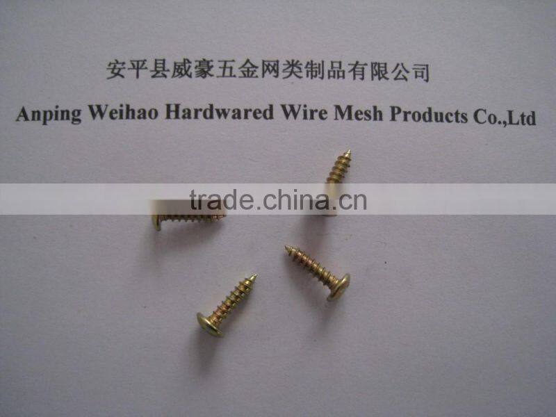 Phillips pan head self tapping screw with washers