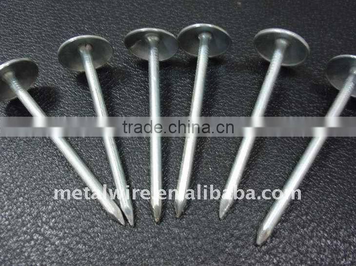 Galvanized Roofing Nail
