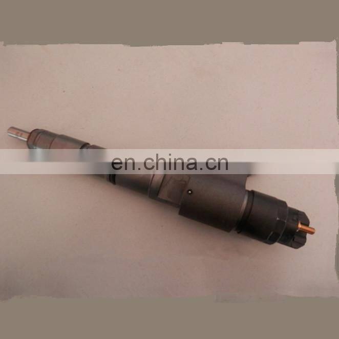 Common rail fuel injector 0445120066 for feed pump