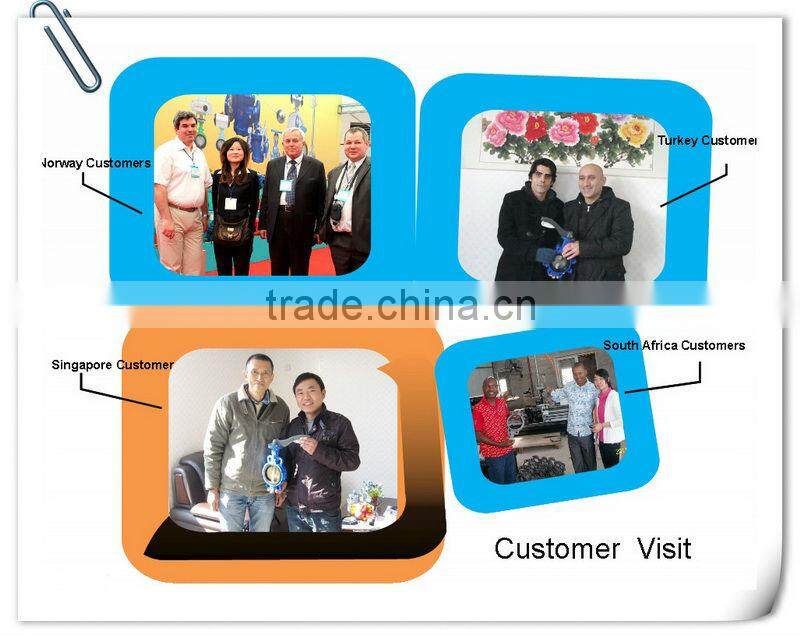 300X Water Control Electric Valve