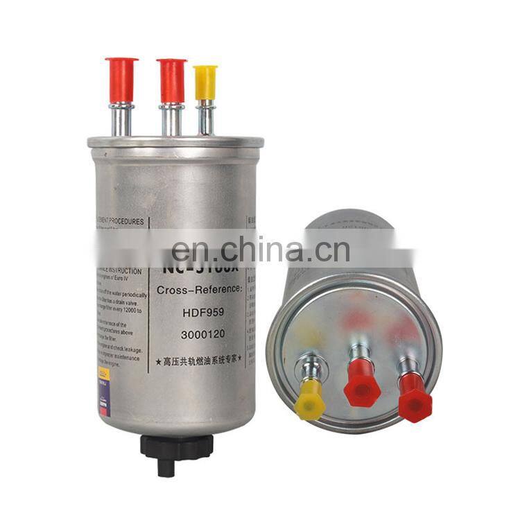 High Quality Auto Fuel Filter 3000120 HDF959 110500018 For JMC