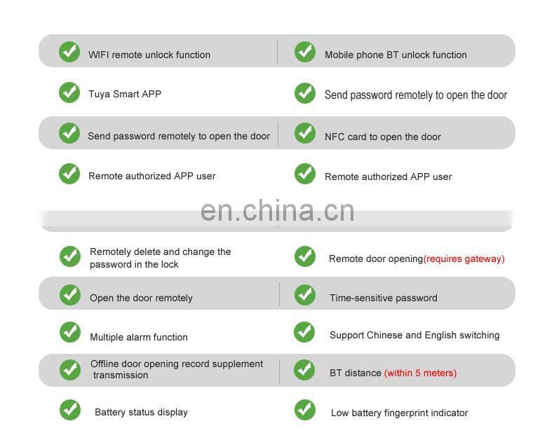 High Quality Safe Keyless Biometric Fingerprint Tuya Smart Lock For Hotel