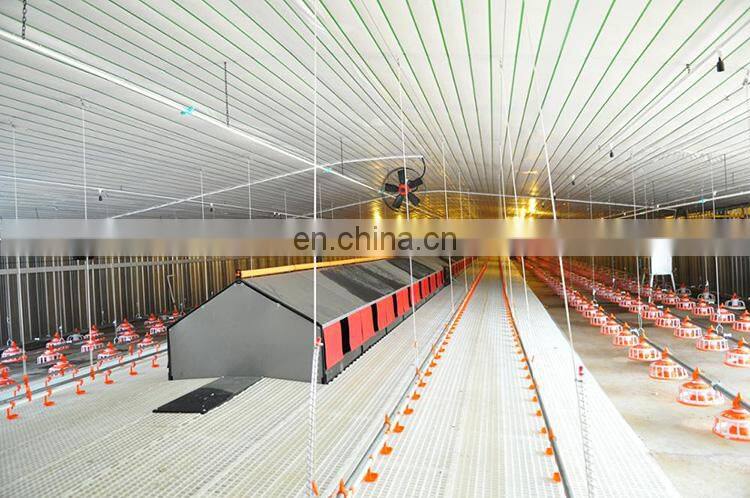 Steel structure workshop low cost house design poultry house