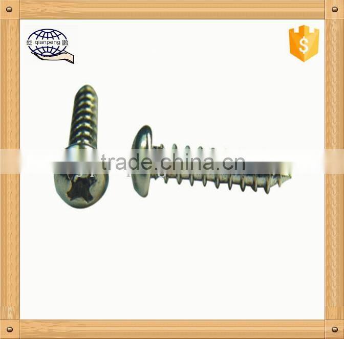 customized Stainless Steel Self Tapping Screw,self tapping screw