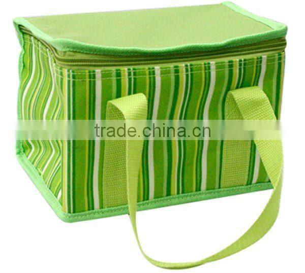 cooler bag for frozen food