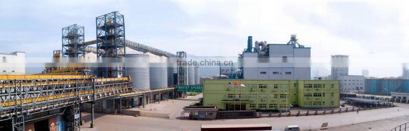 Zinc Stearate in Chinese Factory White