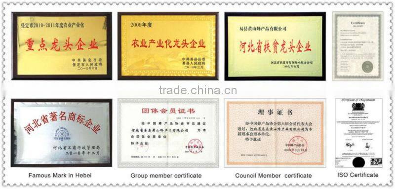 One head honey filling machine