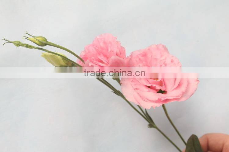 Alibaba china hotsell fresh cut flower eustoma lisianthus