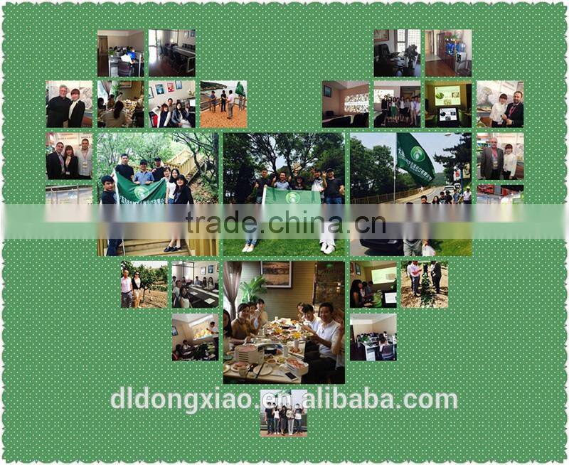 Export Green Pumpkin Seeds Grown without Shell GWS Supplier