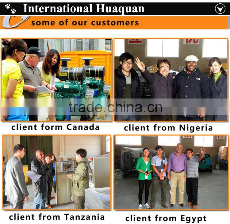 CE Approve small power biogas generator 50kw