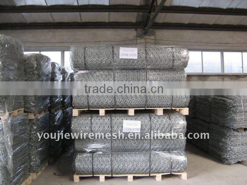 Hexagonal Wire Mesh/gabion box (manufacturer)