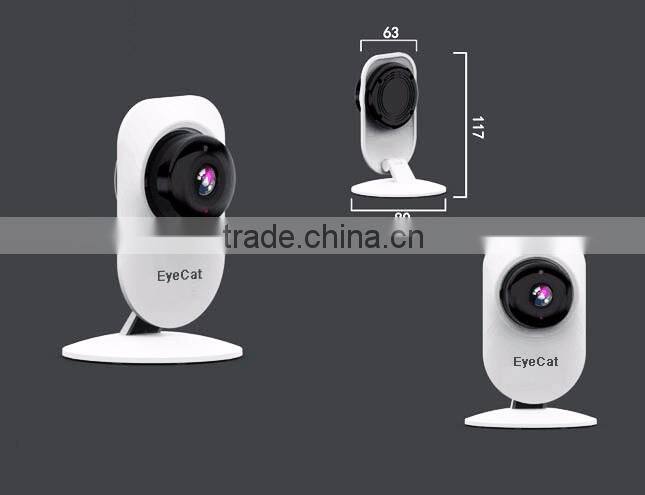 SD Card Outdoor Security HD 720P P2P Wifi IP Camera