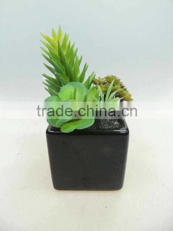 office desk decoration small pot plant