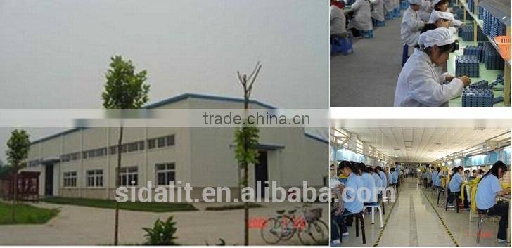 New arrival decoration 12v led garden light