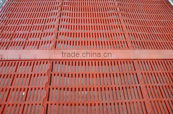 pig plastic slat floor for poultry farm