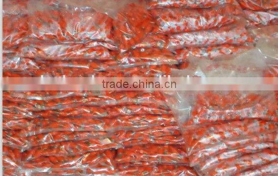 automatic feeder for poultry /automatic high quality automatic chicken nipple drinker
