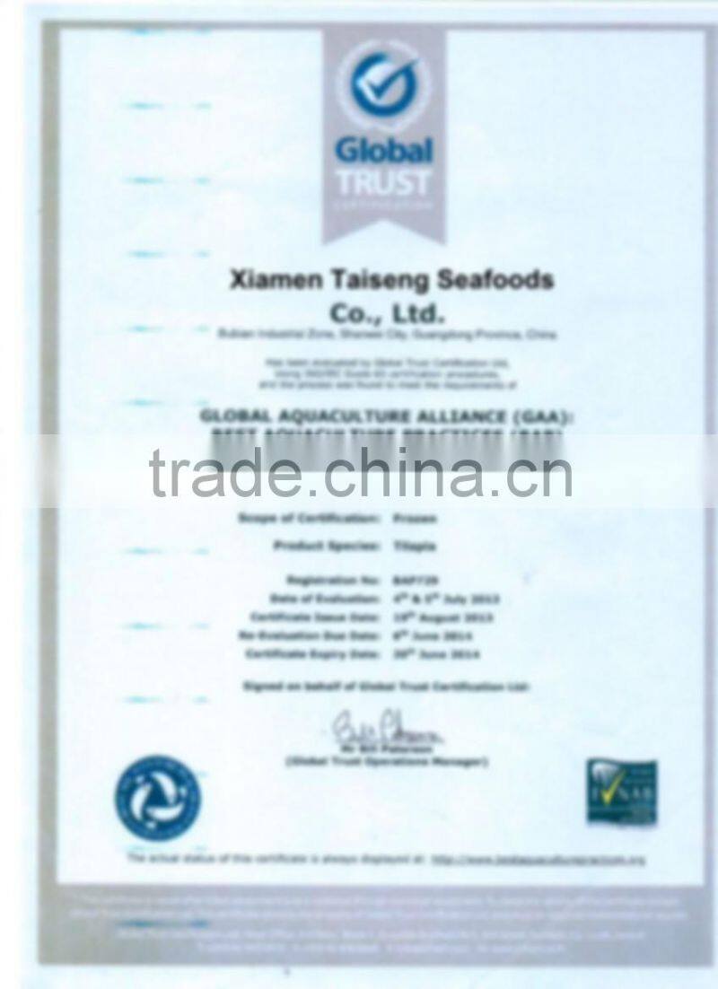 Frozen Golden Pompano Fish Supplier