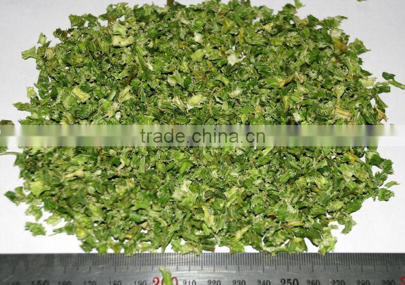 2013 dehydaretd celery