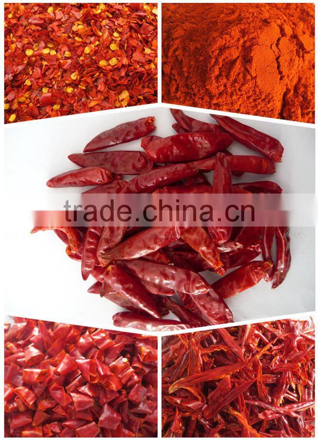 Low price spices powder chili powder brands