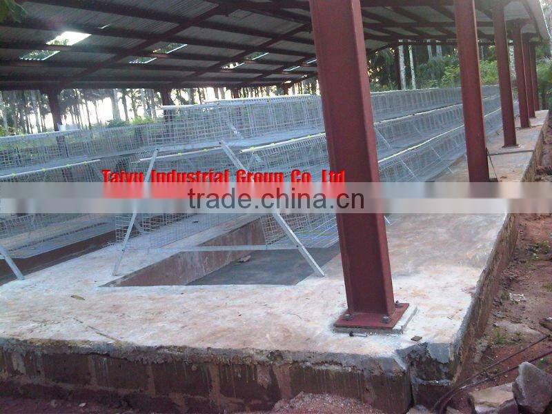 TAIYU chicken farm system (Professional Manufacturer, Design&Equipment, Nigerian /Lagos office,For birds in sales)