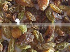 Jiexun raisin color sorter