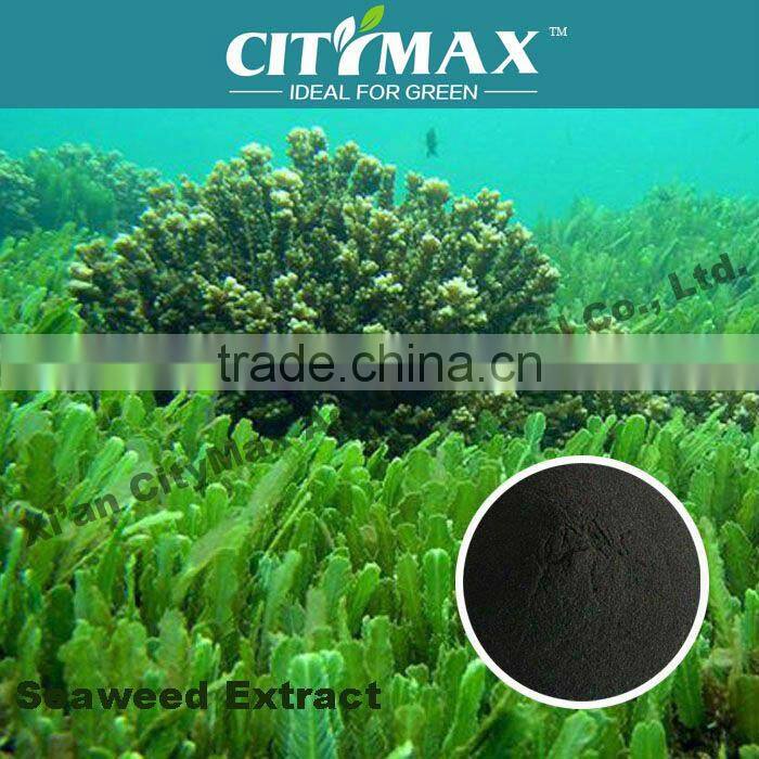 seaweed quality swiss mineral water