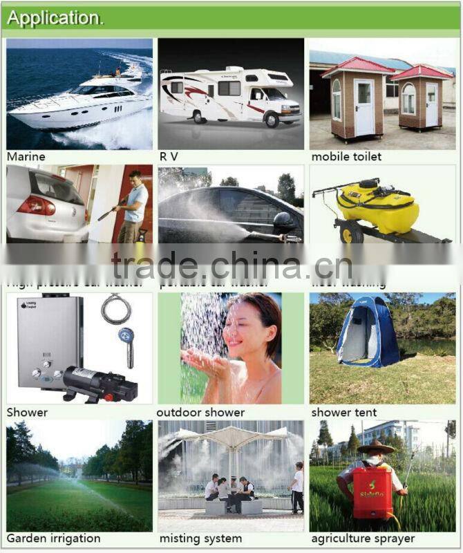 Singflo 24v dc automatic sprayer pump