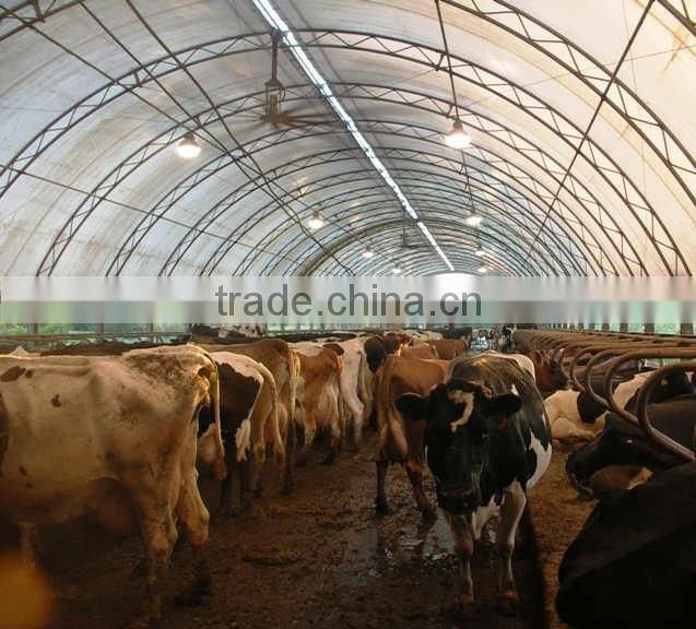 250mm PE Film Covered Single-Span Greenhouse For Cow/Pig Growing