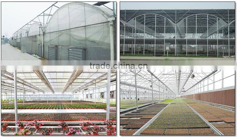 Galvanized Steel Frame Middle East/Africa uv treated Multi Span plastic tunnel commercial greenhouse