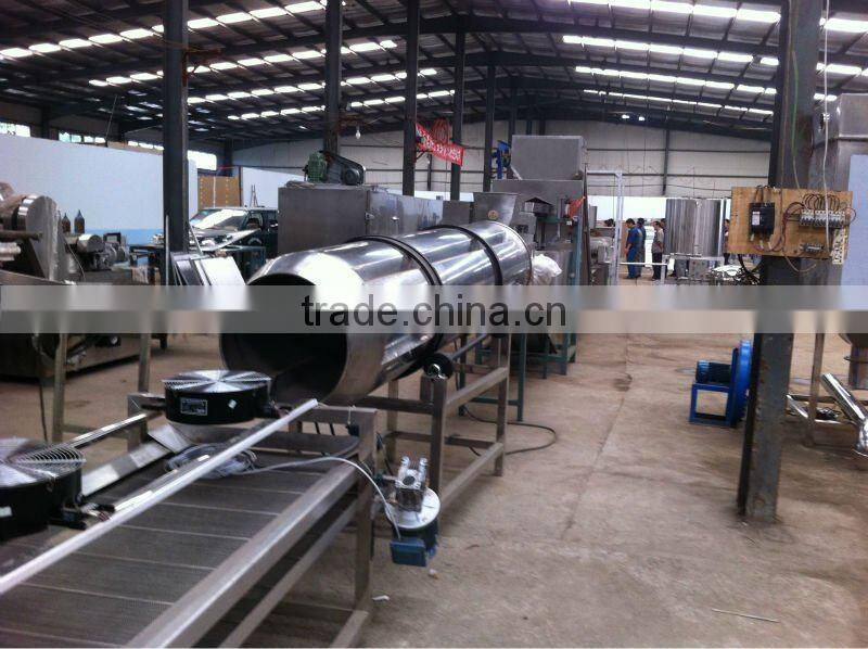 continuous frying system manufacturer