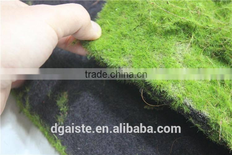 moss wall mat decoration indoor artificial green wall moss carpet