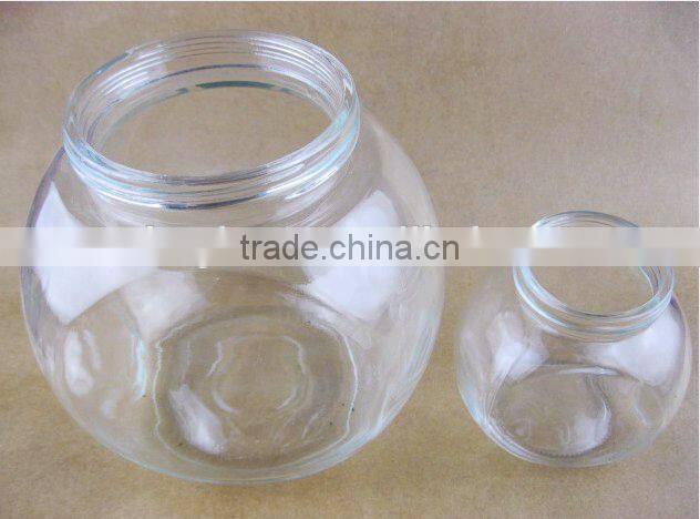 clear glass fish tank /fish bowl
