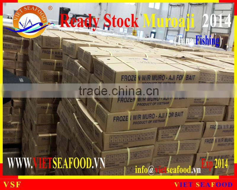 READY STOCK FOR SUPPLY MUROAJI FOR TUNA BAIT