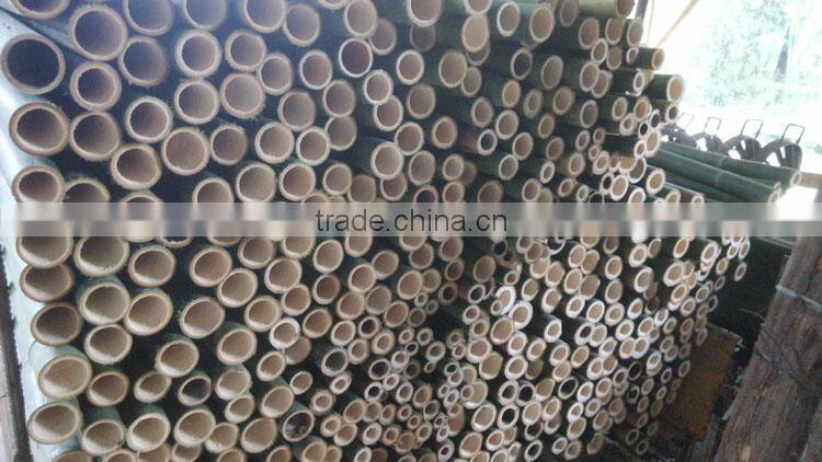 certificated chicken satay skewers for wholesale