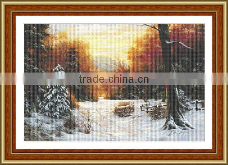 Fashion diy diamond painting,2014 new pictures. 5563-0