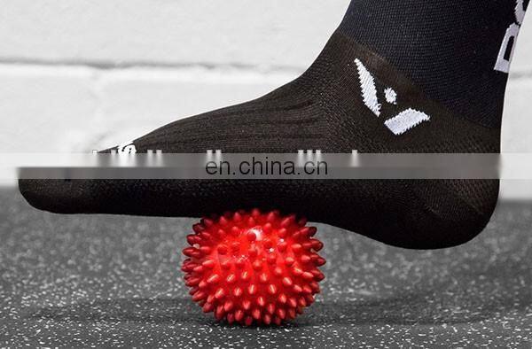 Pet Ball Toy Roller Spiky Massage Ball