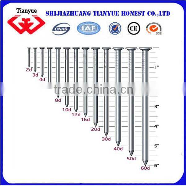 Construction Common Nials with low price