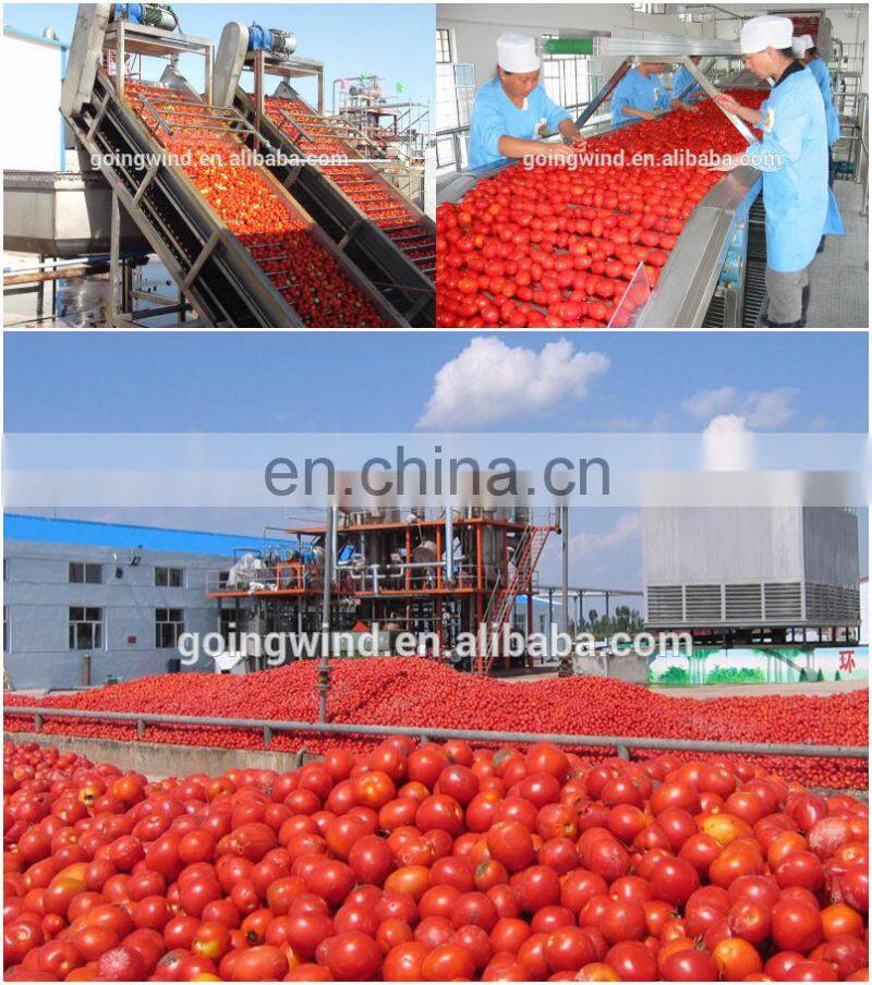 Automatic fruit juice rising film evaporator machine auto liquid vacuum climbing film concentrator cheap price for sale