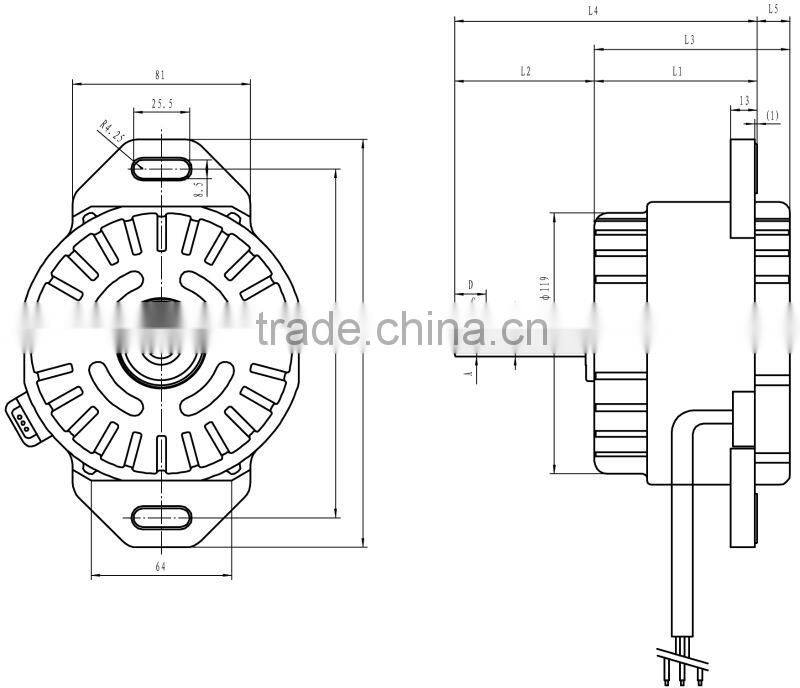 electric motor washing motor