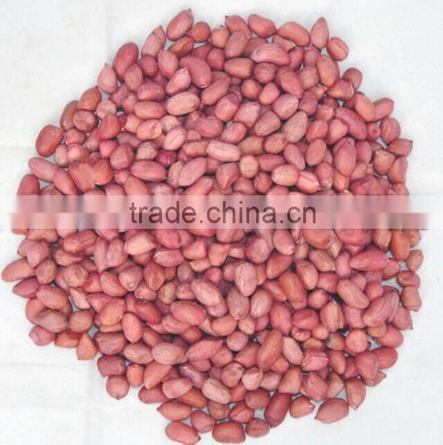 hot sale roasted and salted peanut made in China