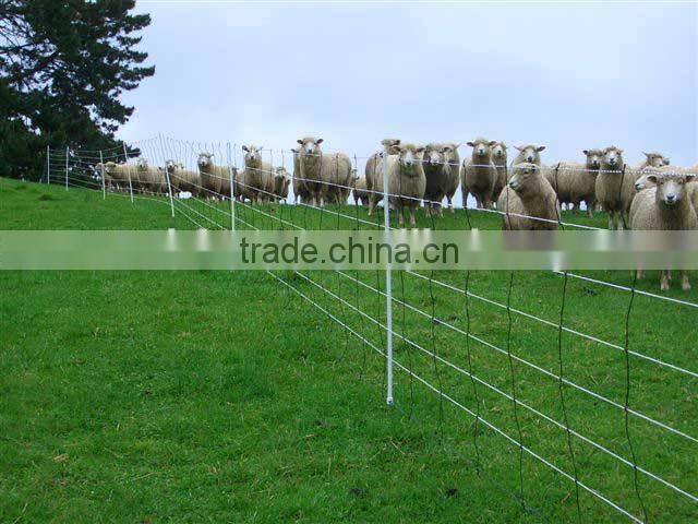2x2 high quality galvanized/pvc coated concrete reinforcing welded wire mesh