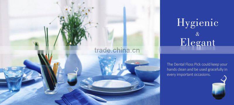 Expert Disposable Dental Flosser toothpicks