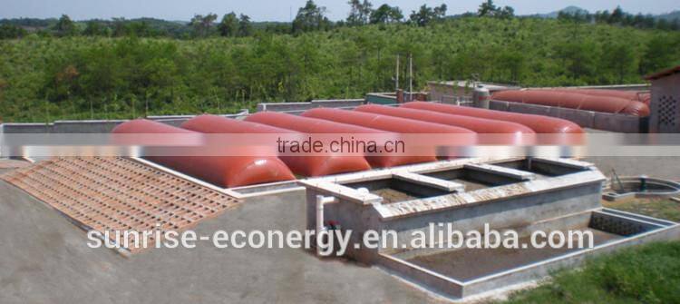 Biogas equipment's small biogas plant