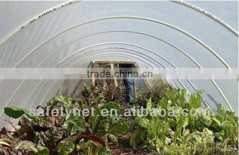 HDPE Plant insect net,magnetic insect netting