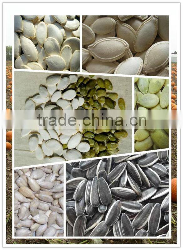 Green Pumpkin Seeds and Bulk Pumpkin Seeds GWS